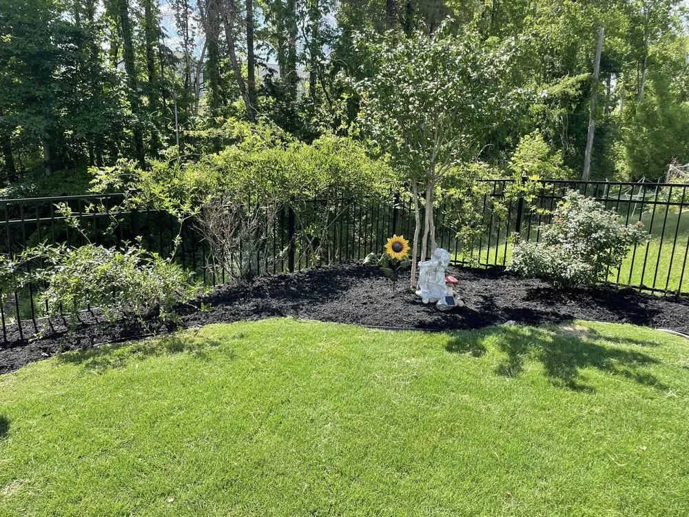 Top-rated landscaping services in Asheboro, NC - AA Landscape Design & Contractor