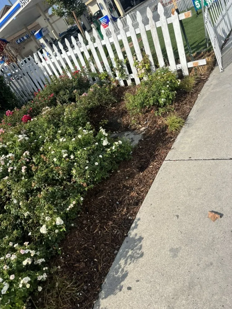 Top-rated lawn mowing service for homes across Perris, CA - AA Landscape