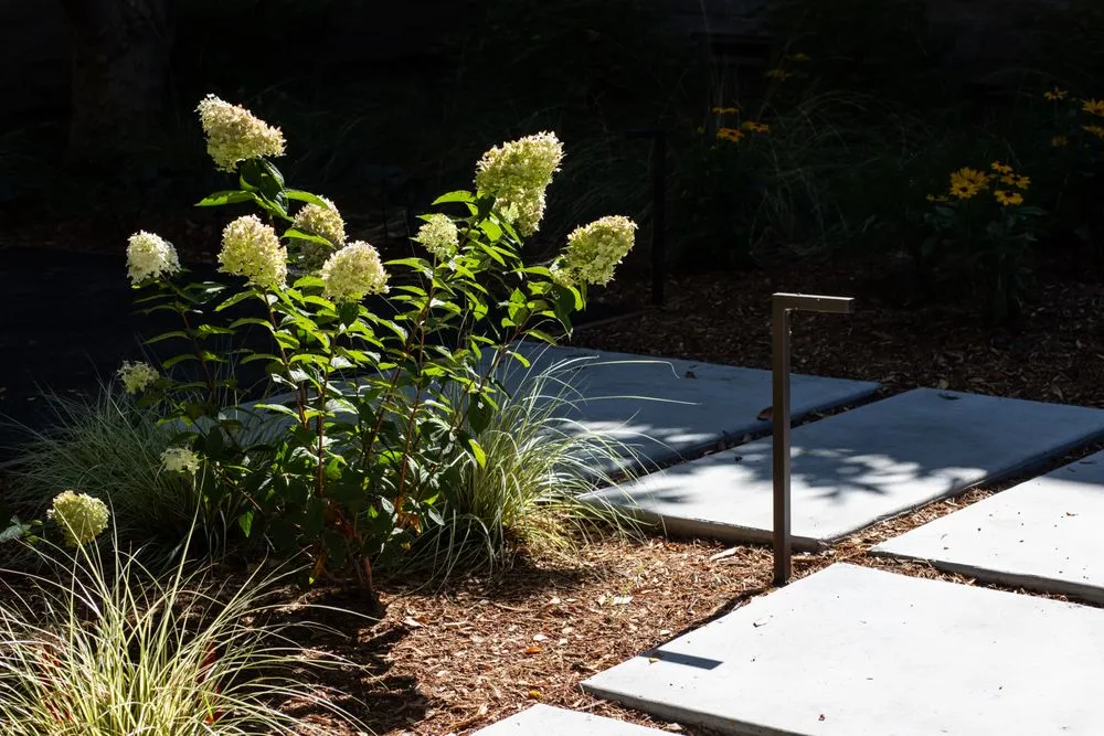 Local landscape design in Redwood City, CA - A&A Landscape