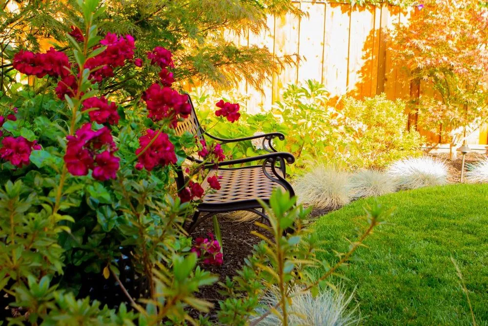 Reliable landscape installation for residential properties in Redwood City, CA by A&A Landscape