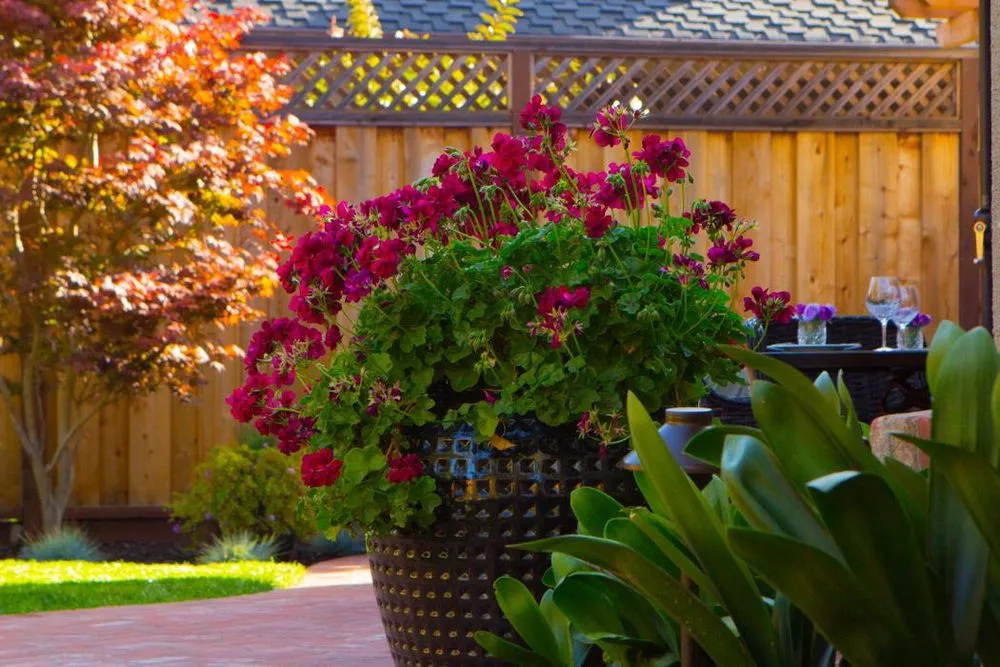 Expert garden landscaping in Redwood City, CA - A&A Landscape