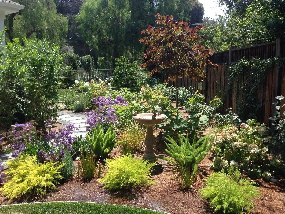 Expert residential landscaping experts serving Redwood City, CA - A&A Landscape