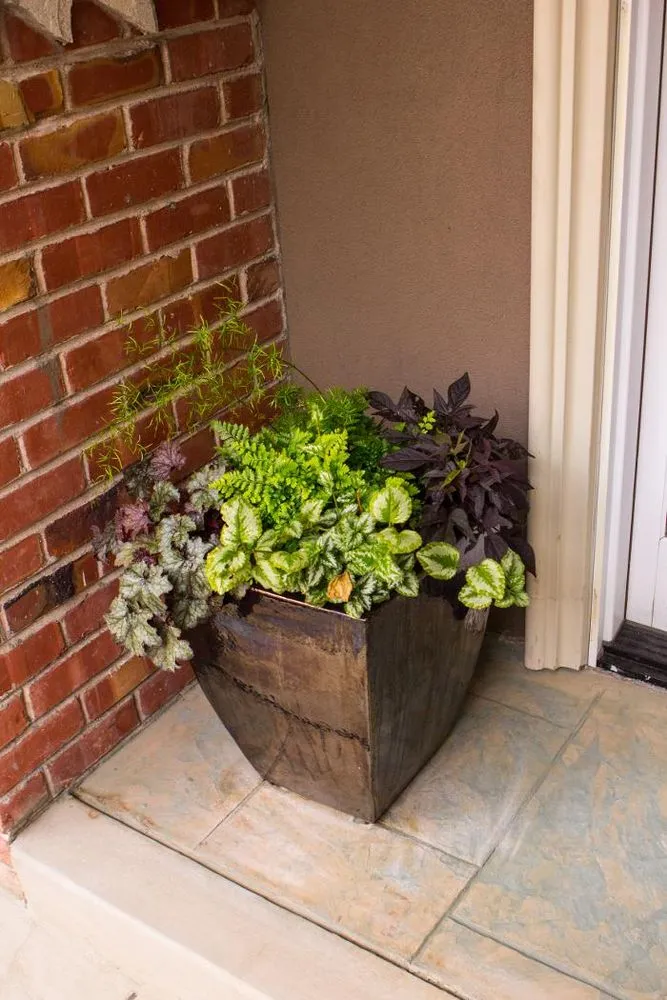 Top-rated landscaping services for year-round maintenance in Redwood City, CA by A&A Landscape