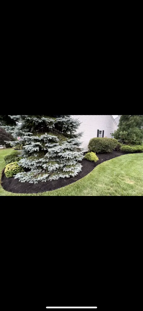 Affordable lawn mowing service in Brick Township, NJ by A&A Landscaping & Fencing