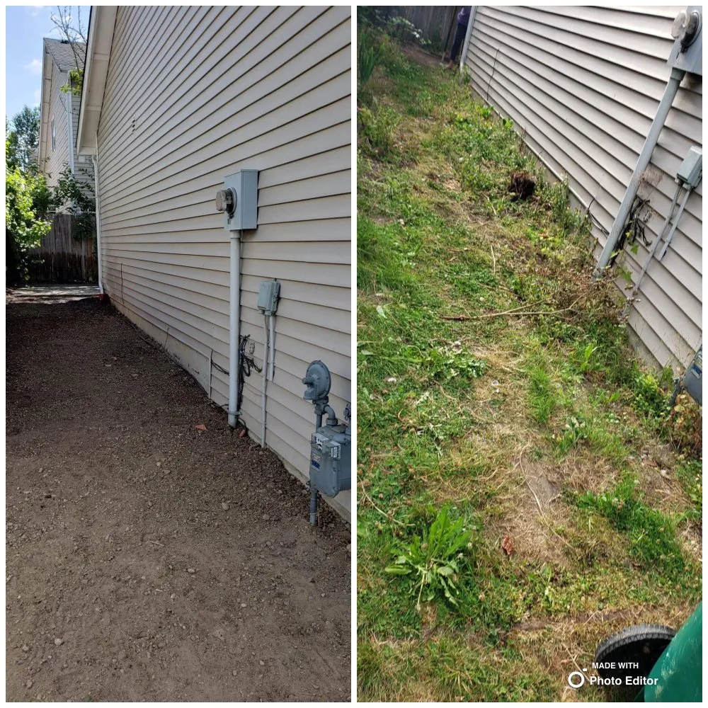 Professional yard maintenance for residential properties in Lynnwood, WA by A&A Landscaping And Concrete