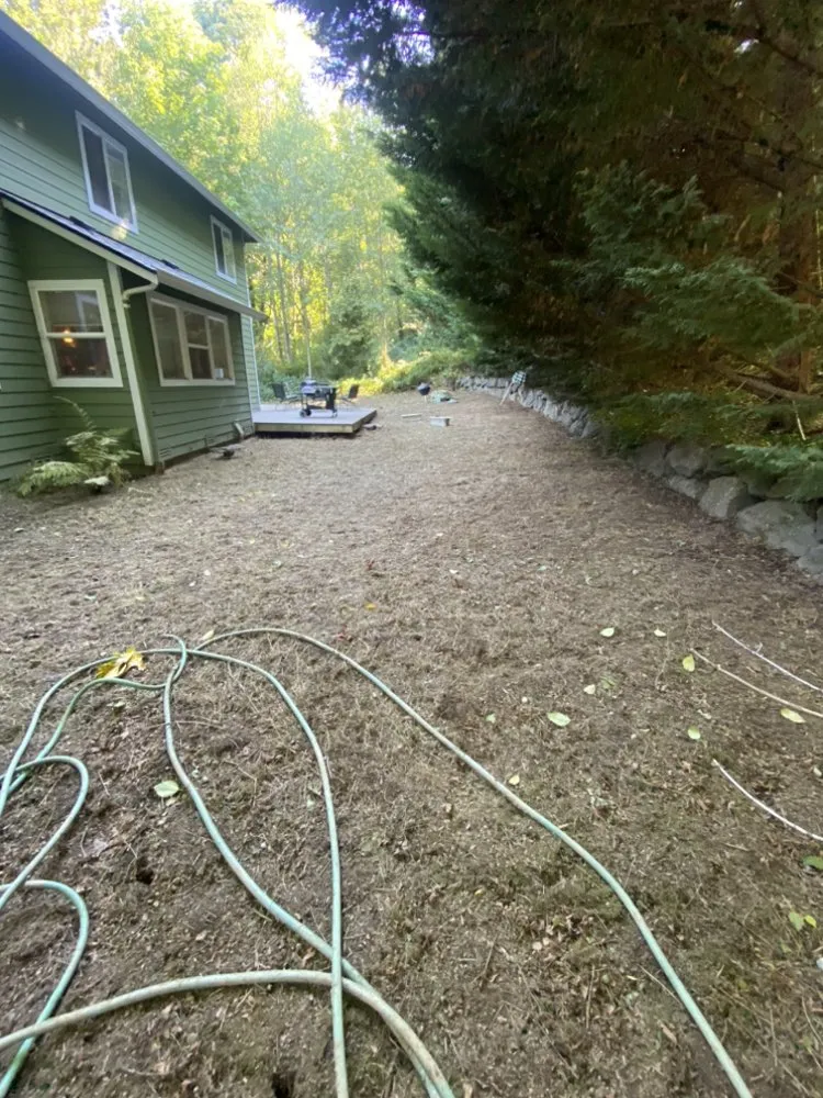 Reliable yard cleanup service in Lynnwood, WA - A&A Landscaping And Concrete