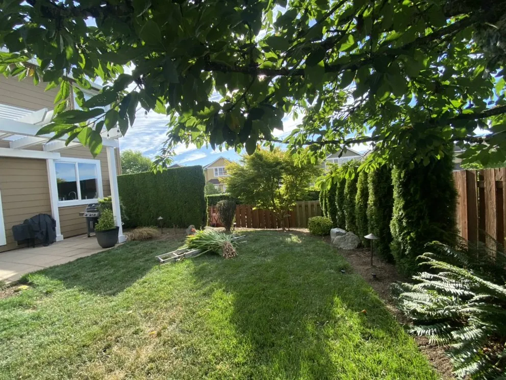 Reliable lawn mowing service with custom design across Lynnwood, WA - A&A Landscaping And Concrete