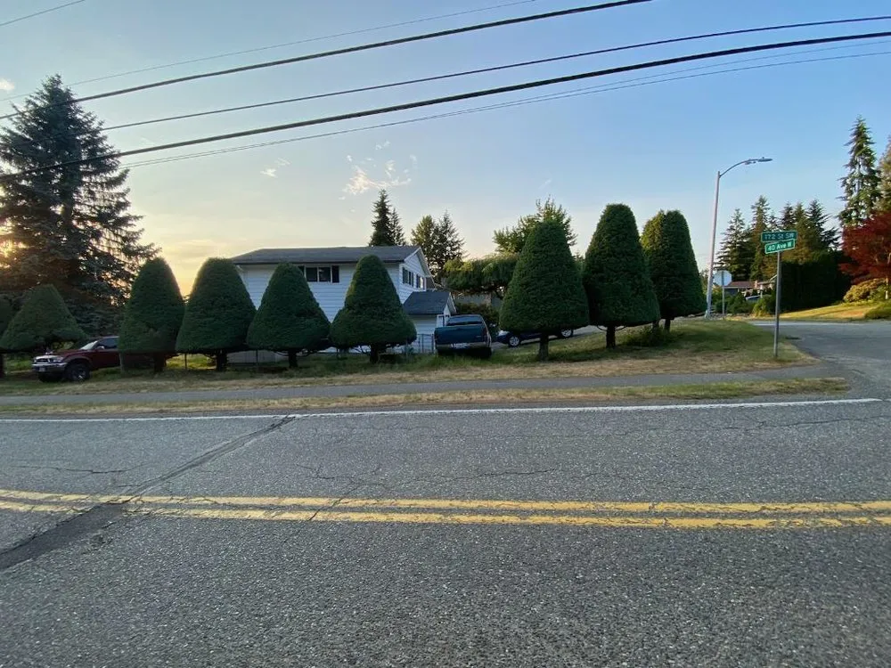 Expert garden landscaping experts serving Lynnwood, WA - A&A Landscaping And Concrete