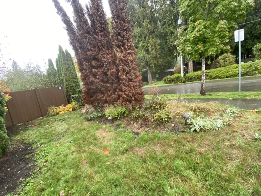 Expert garden landscaping with custom design in Lynnwood, WA by A&A Landscaping And Concrete