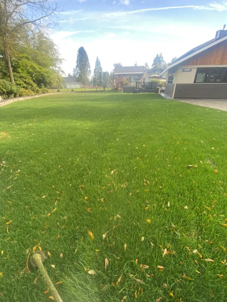 Reliable lawn care service with custom design in Lynnwood, WA by A&A Landscaping And Concrete