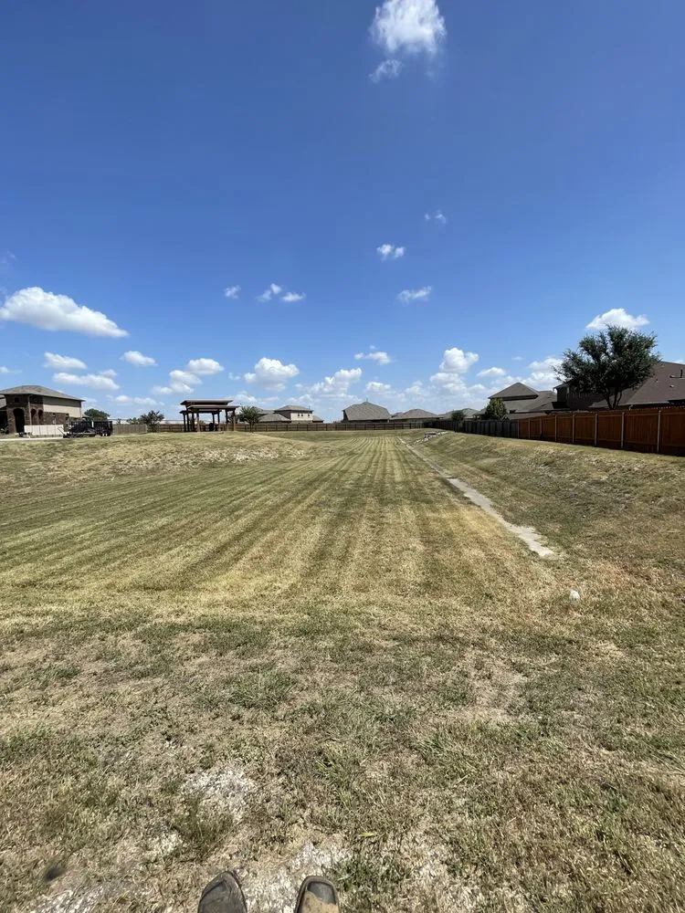 Affordable lawn mowing service for beautiful yards in Austin, TX by AA Landscaping and Construction