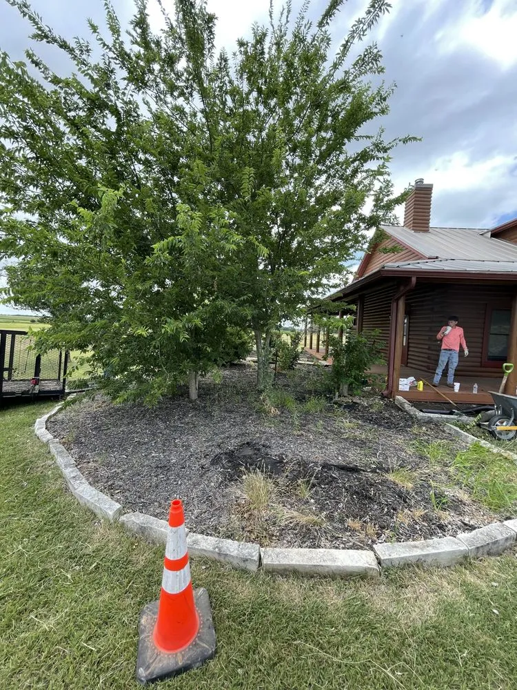 Affordable yard maintenance in Austin, TX by AA Landscaping and Construction