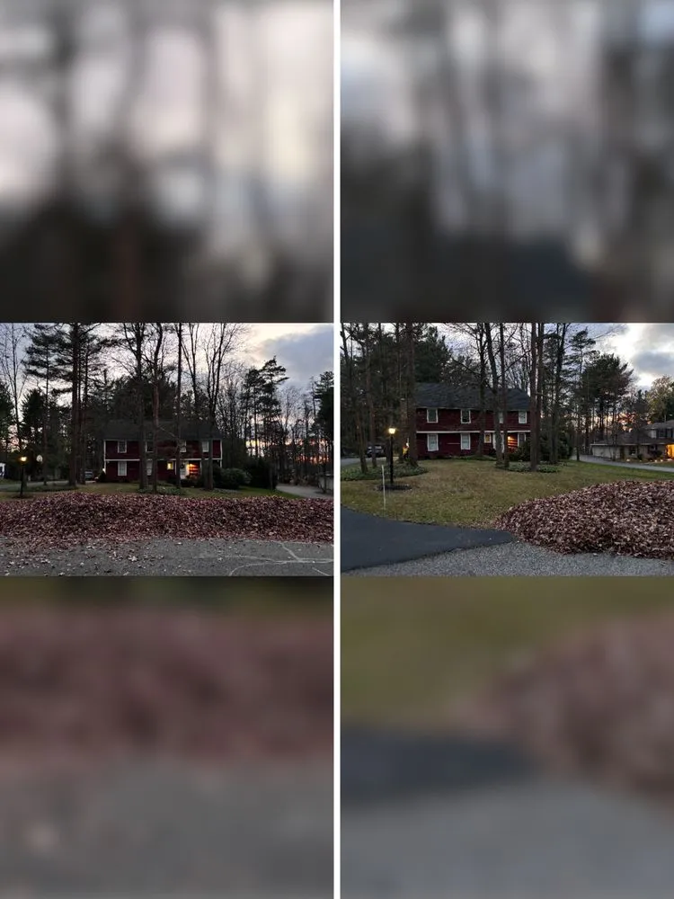 Local yard cleanup service with custom design in Orchard Park, NY by AA Landscaping And Tree Care