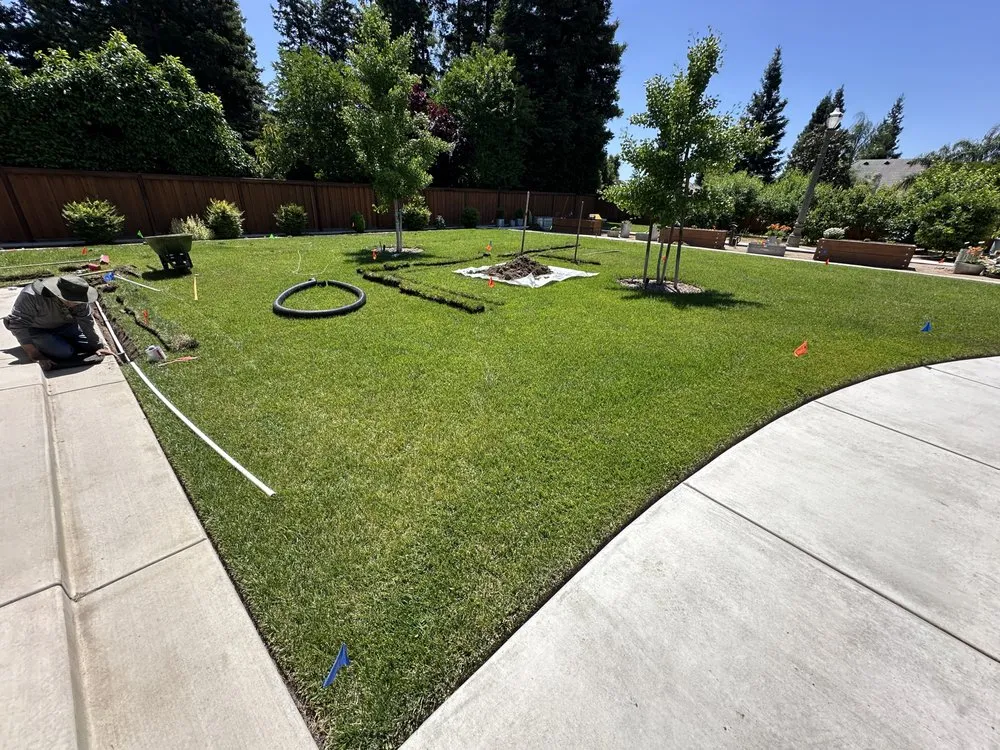 Professional yard maintenance in Riverbank, CA - A&A Landscaping Co.