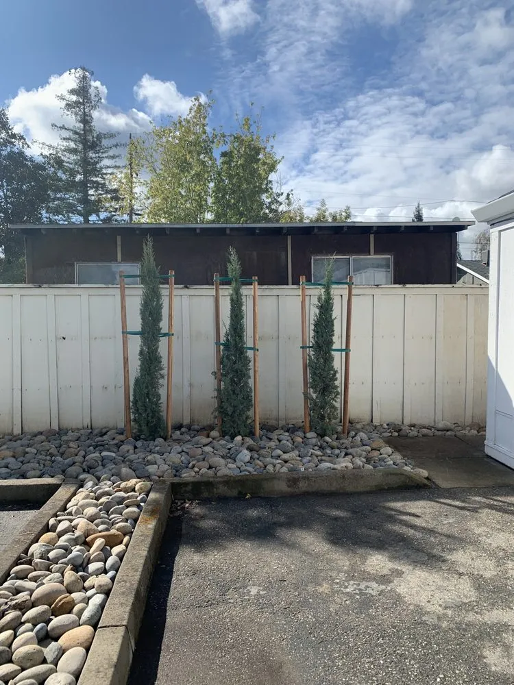 Top-rated yard maintenance experts serving Riverbank, CA - A&A Landscaping Co.