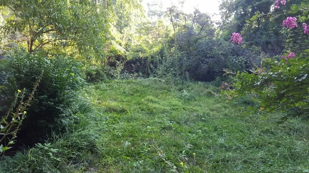 Local landscape design experts serving Richmond, VA - A&A Landscaping Contractors