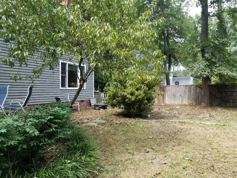 Trusted yard cleanup service for residential properties in Richmond, VA by A&A Landscaping Contractors