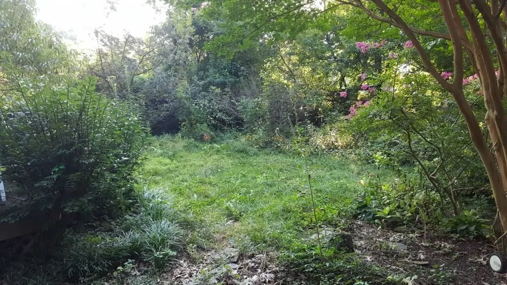 Affordable outdoor landscaping in Richmond, VA by A&A Landscaping Contractors