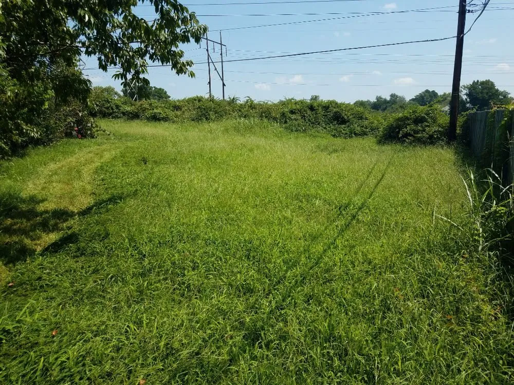 Local yard cleanup service in Richmond, VA by A&A Landscaping Contractors