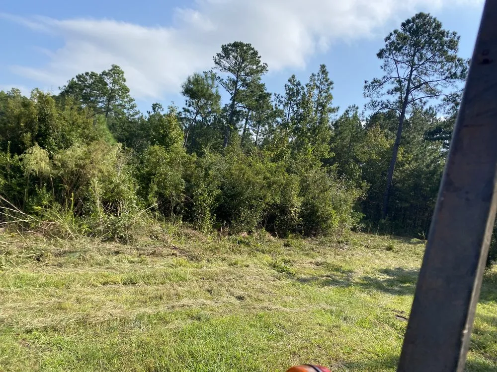 Affordable outdoor landscaping in Georgetown, SC by A&A landscaping