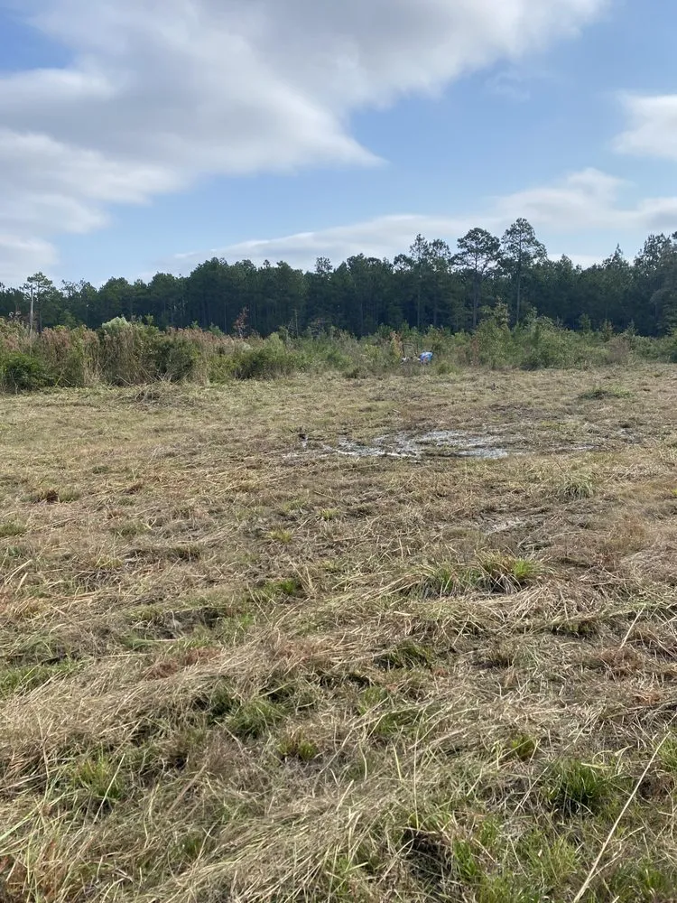 Top-rated yard cleanup service in Georgetown, SC by A&A landscaping