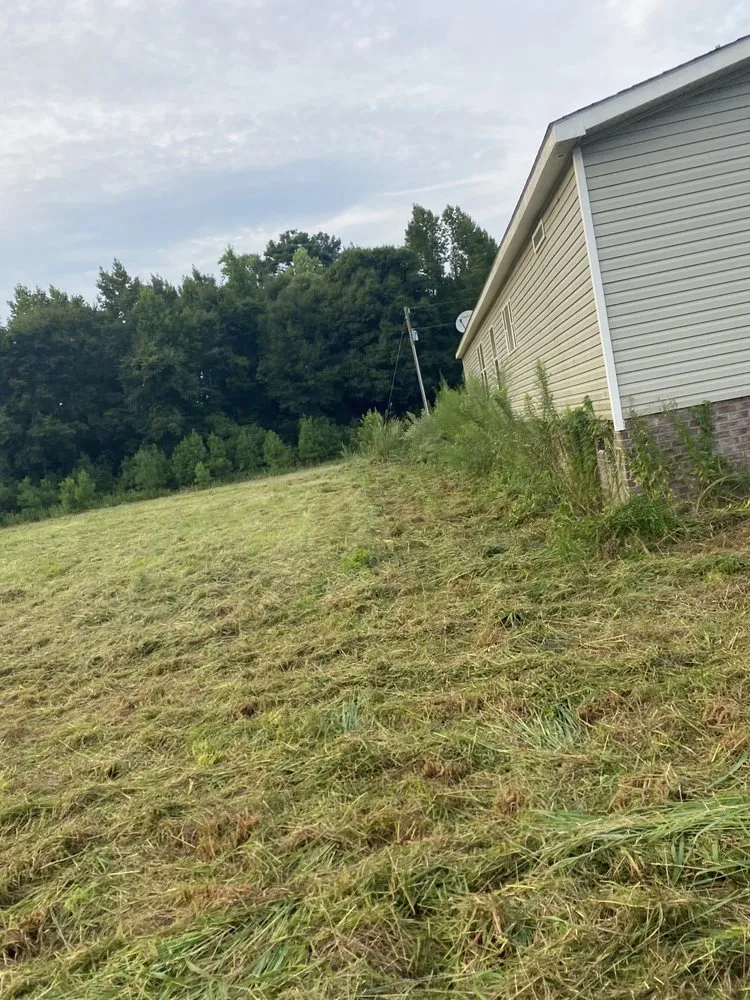 Professional landscape installation for year-round maintenance across Georgetown, SC - A&A landscaping