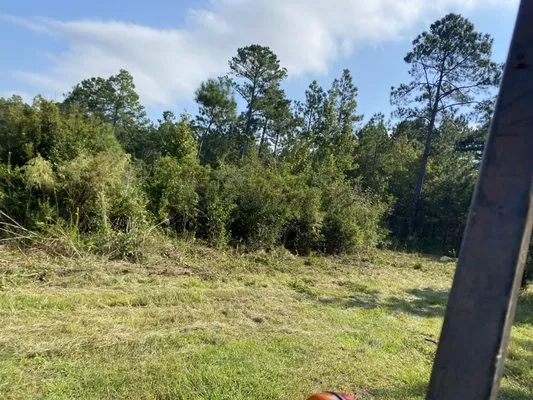 A&A landscaping Logo