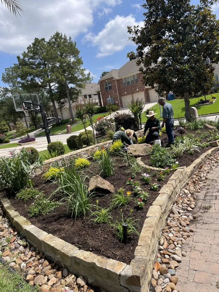 Expert lawn mowing service in Houston, TX - AA Landscaping