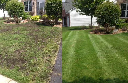 Trusted yard maintenance experts serving Laureldale, PA - A&A Landscaping