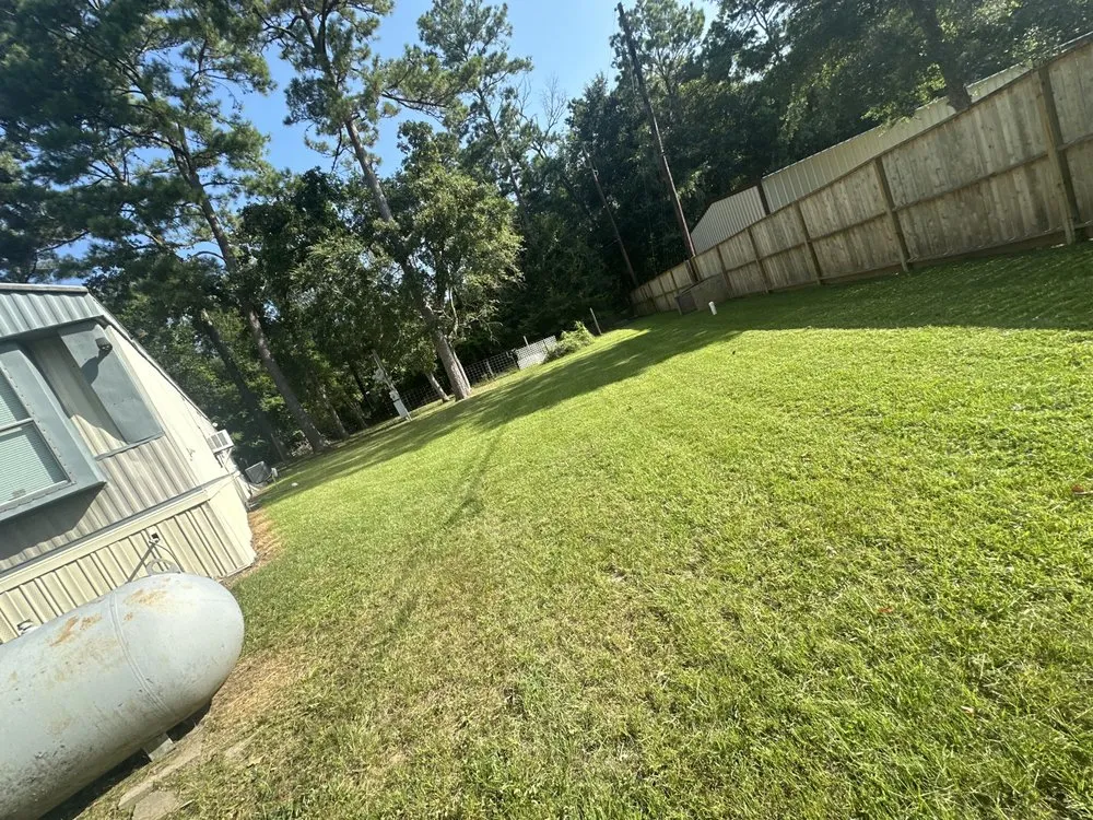 Local landscape design for beautiful yards across Magnolia, TX - AA Landscaping