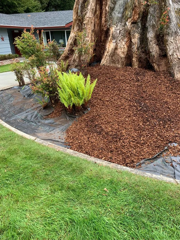Professional landscape design in McKinleyville, CA by A&A Landscaping