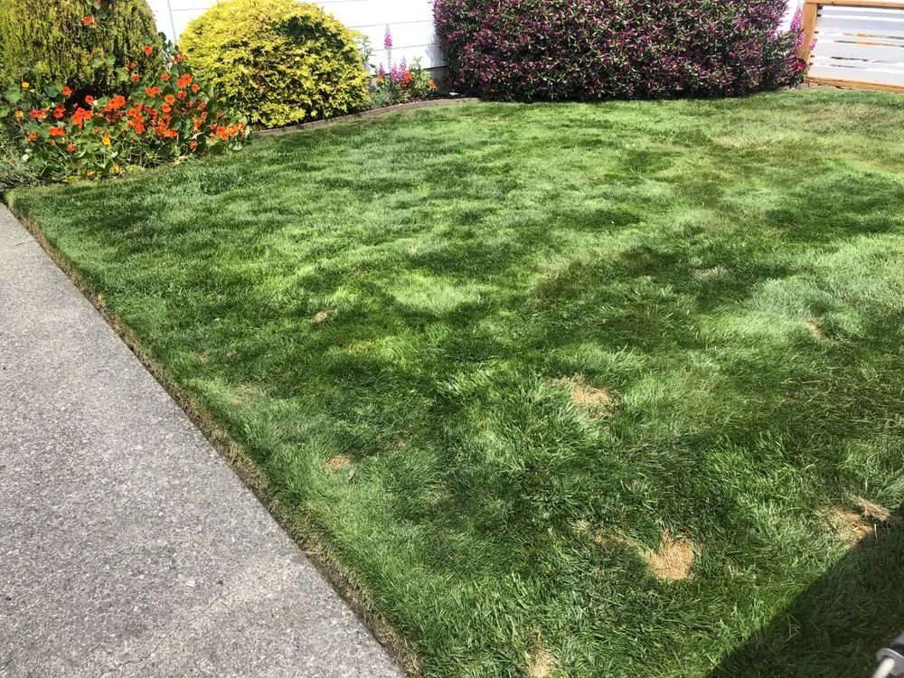 Affordable residential landscaping for homes across McKinleyville, CA - A&A Landscaping