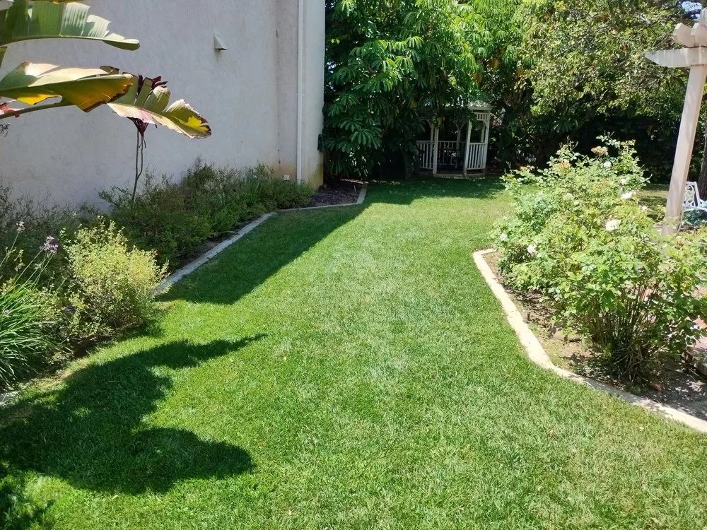 Affordable garden landscaping for outdoor upgrades in San Diego, CA by A&A landscaping