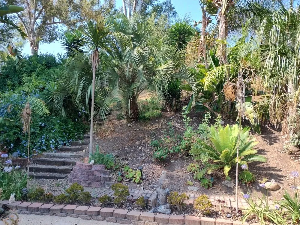 Trusted landscape installation in San Diego, CA by A&A landscaping