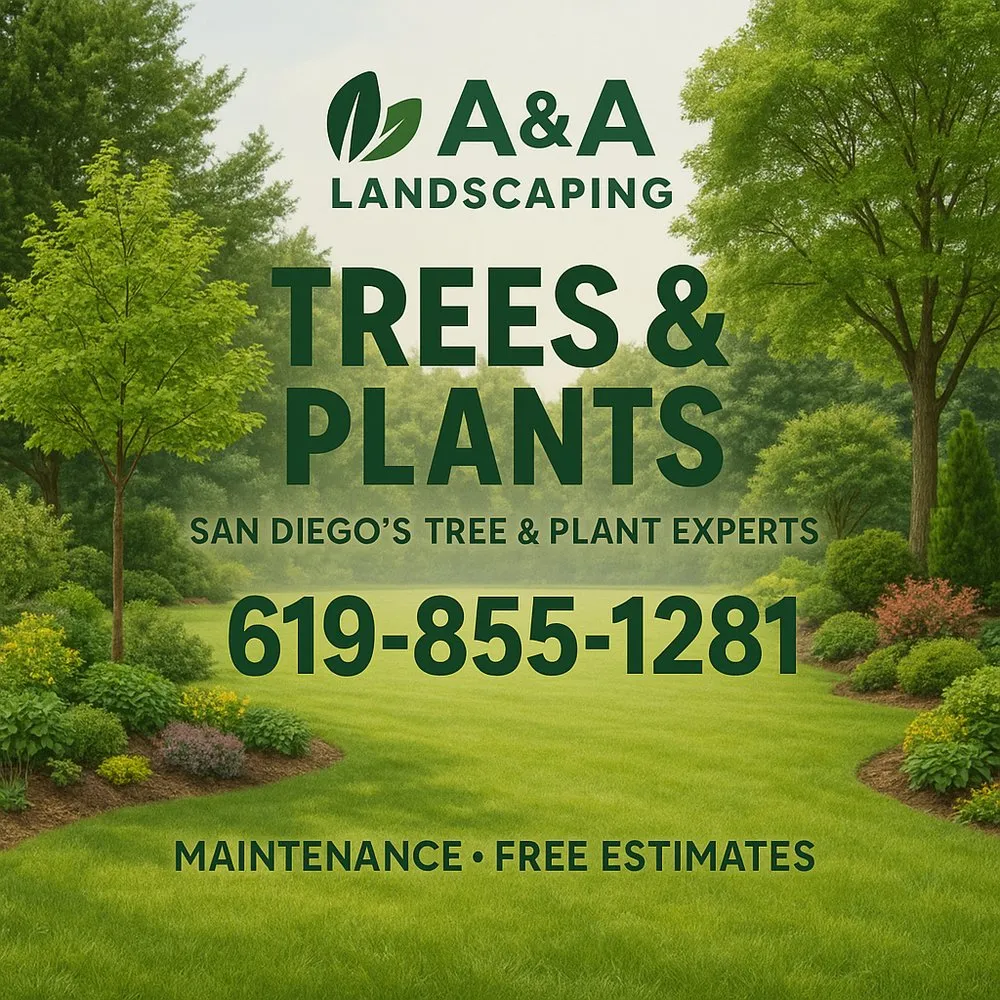 Custom lawn care service in San Diego, CA by A&A landscaping