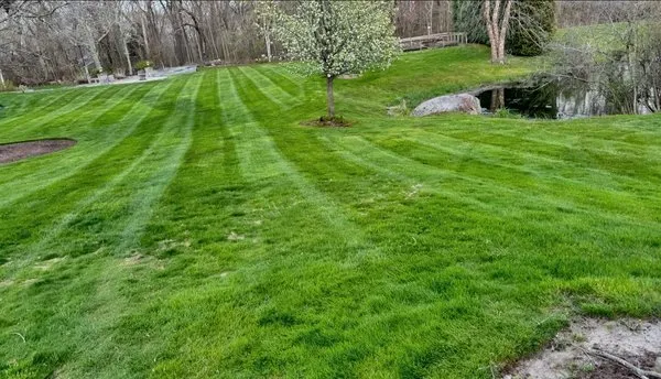 A&A Landscaping Services Logo