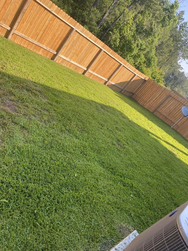 Local landscape installation for year-round maintenance in Tomball, TX by A&A Landscaping