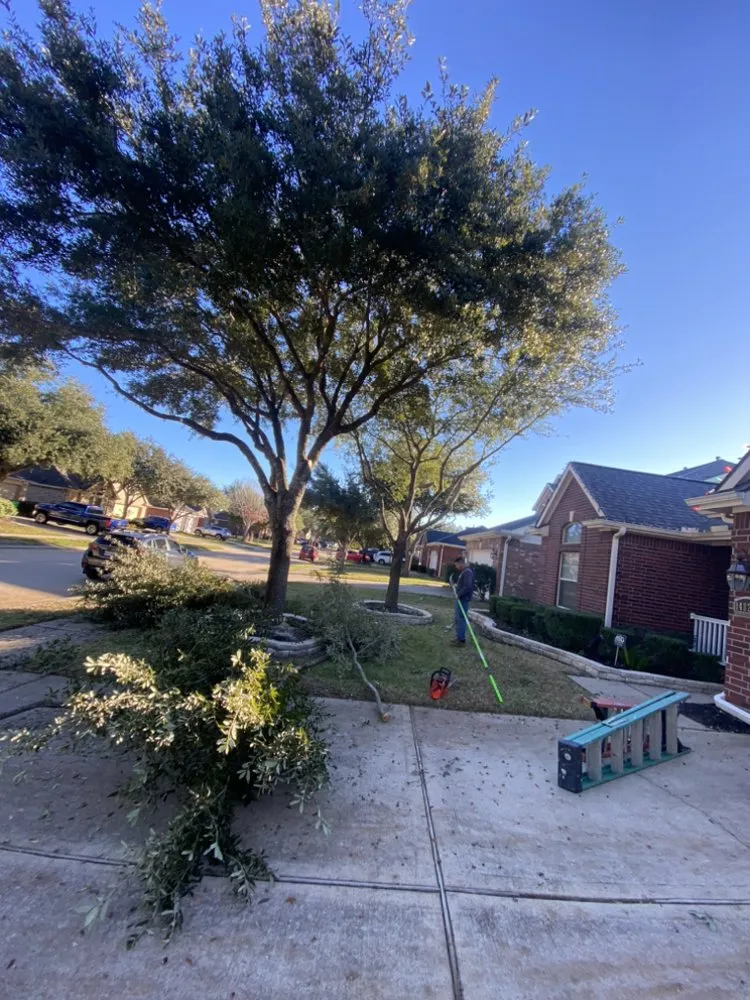 Custom landscaping services in Tomball, TX - A&A Landscaping