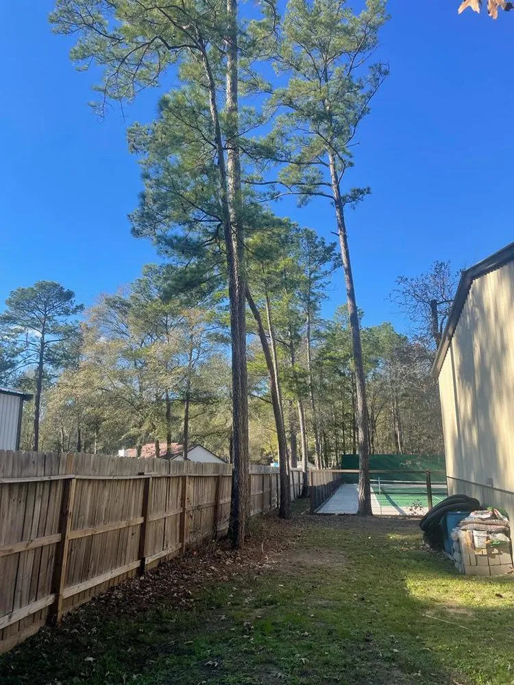 Reliable landscape design in Tomball, TX by A&A Landscaping