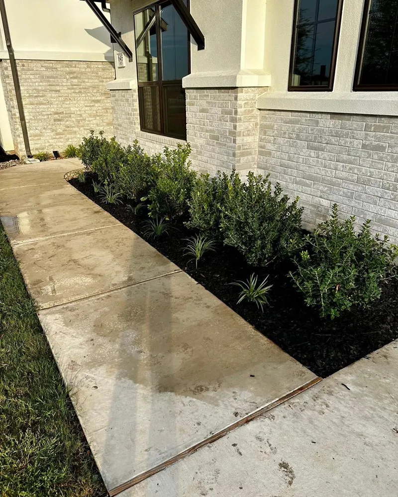 Trusted yard cleanup service in Tomball, TX - A&A Landscaping
