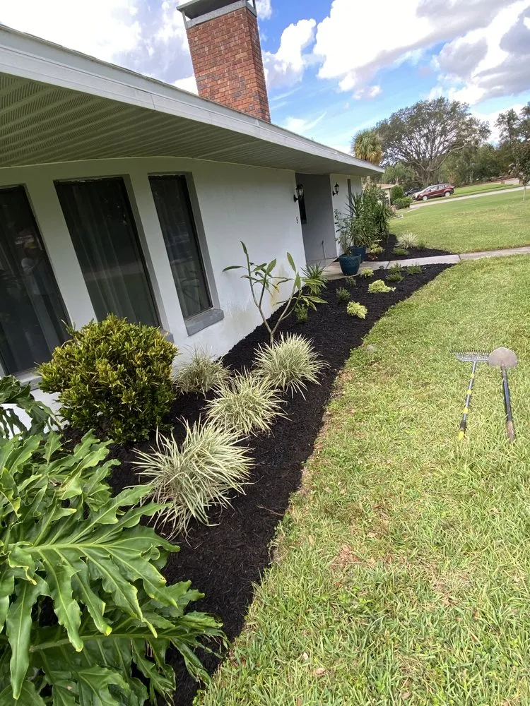 Expert yard cleanup service for residential properties in Winter Haven, FL by A&A Landscaping