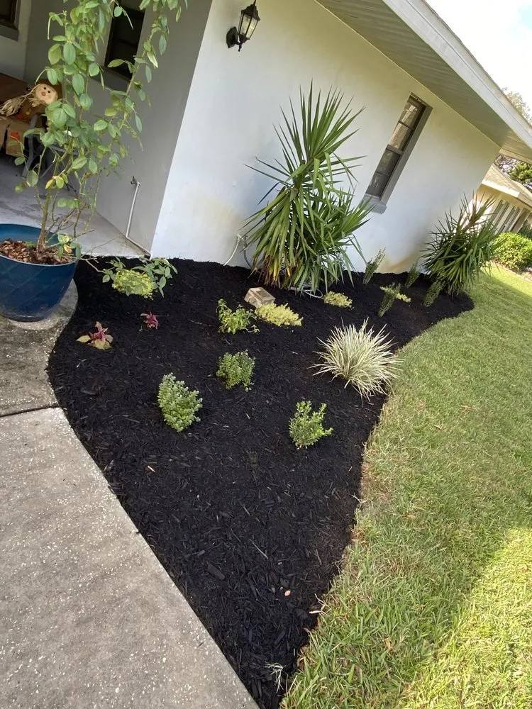 Custom landscaping services in Winter Haven, FL by A&A Landscaping