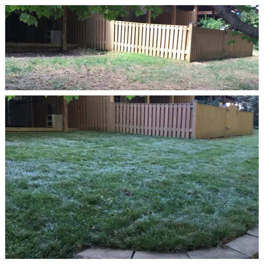 Top-rated landscaping services for residential properties across Odenton, MD - AA Lawn & Landscape