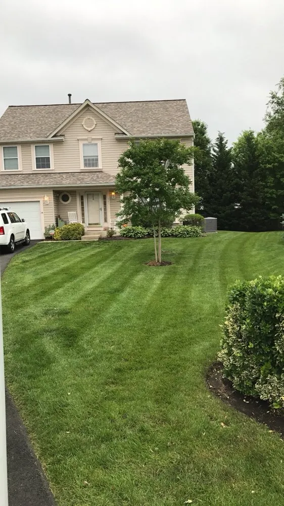 Affordable yard maintenance in Odenton, MD by AA Lawn & Landscape
