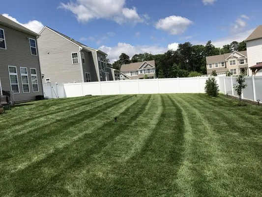AA Lawn & Landscape