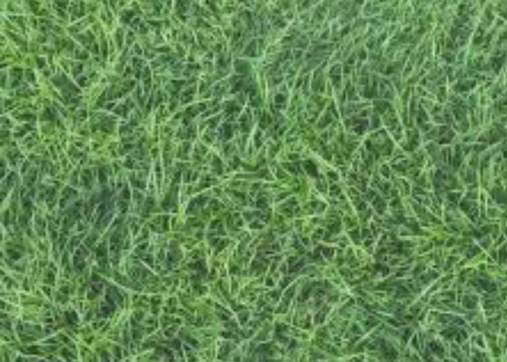 Trusted landscape design experts serving Meridian, TX - A&A Lawn & Property Care