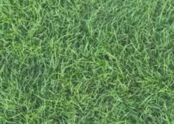 A&A Lawn & Property Care