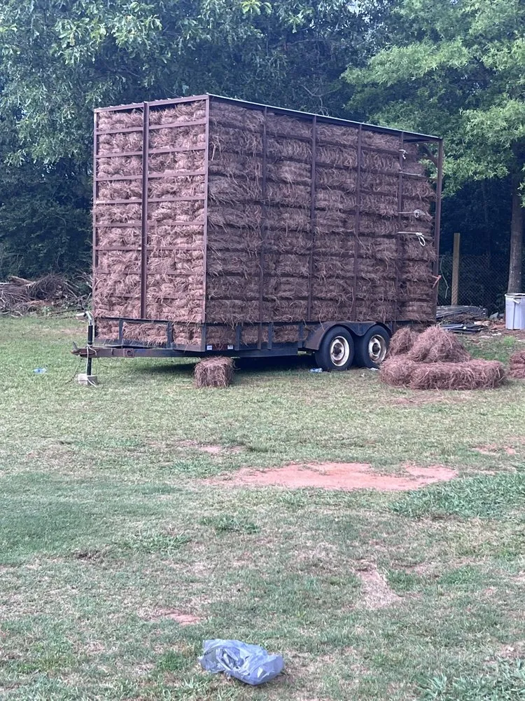 Top-rated yard cleanup service in Athens, GA - A&A Lawn Care