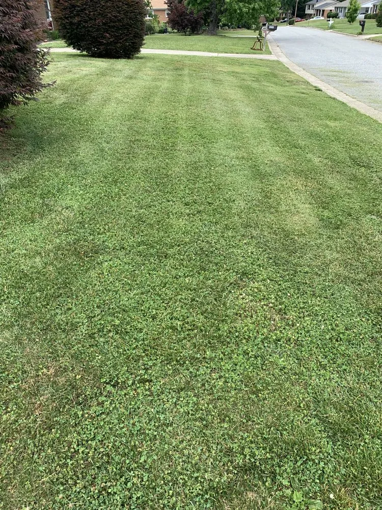 Top-rated outdoor landscaping in Winston-Salem, NC - A&A Lawn Care Service