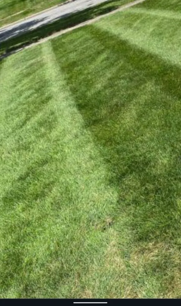Expert landscape installation in Winston-Salem, NC - A&A Lawn Care Service